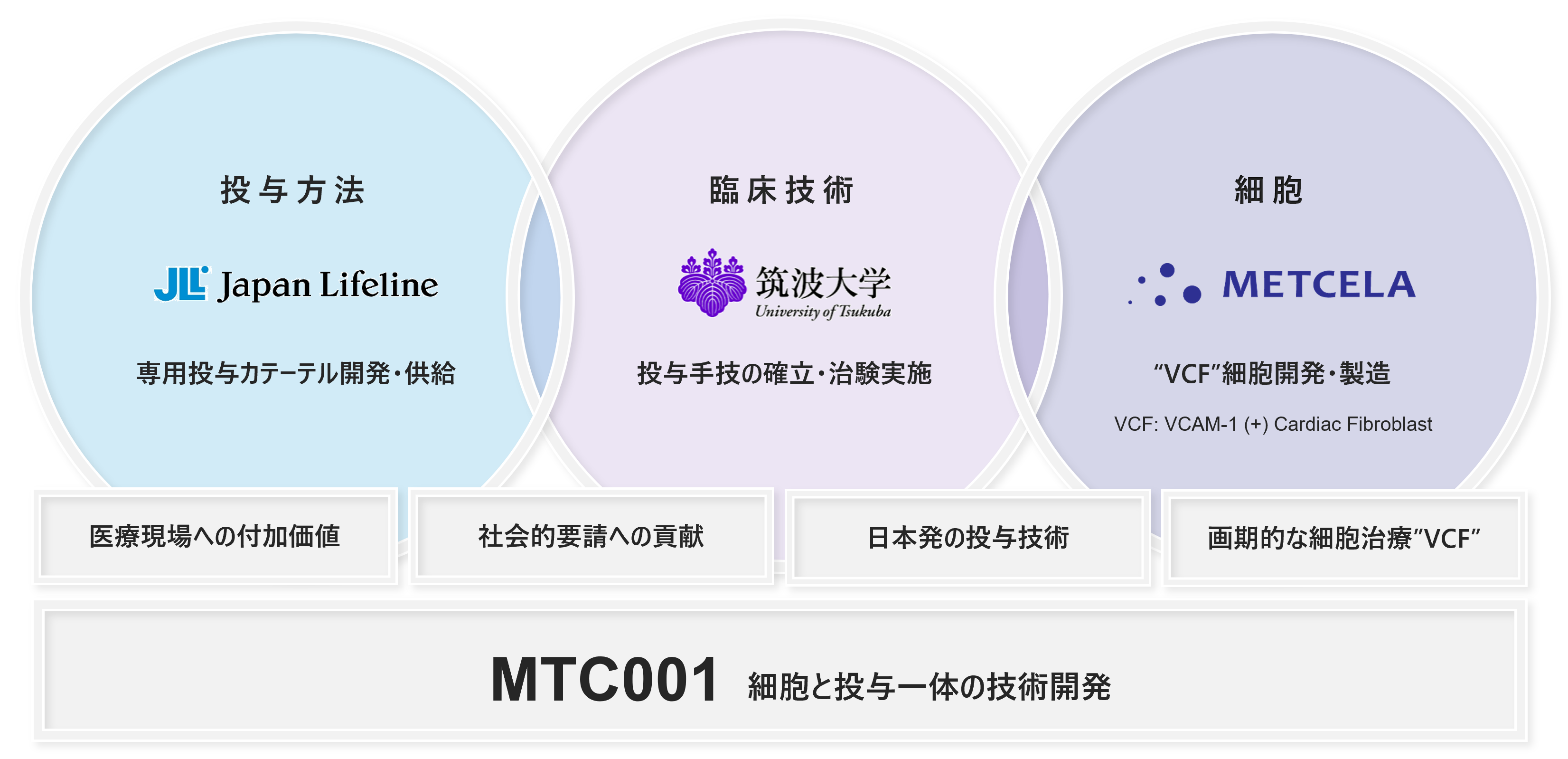慢性虚血性心不全患者に対するvcam 1陽性心臓線維芽細胞 Vcf1 の医師主導第i相試験の開始について 株式会社メトセラのプレスリリース