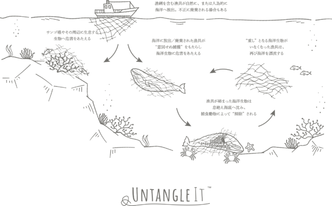 ▲ Cycle diagram of “ghost fishing” where fishing gear including drifting fishing nets poses a threat to marine life