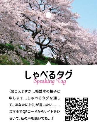 Sakura Namiki Project Tag