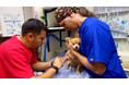 ロッキー山脈のふもとで営む動物病院に密着する人気シリーズ第2弾「デンバー動物クリニック シーズン2」の日本語吹替版が初登場!3月18日(火)アニマルプラネットにて放送スタート!