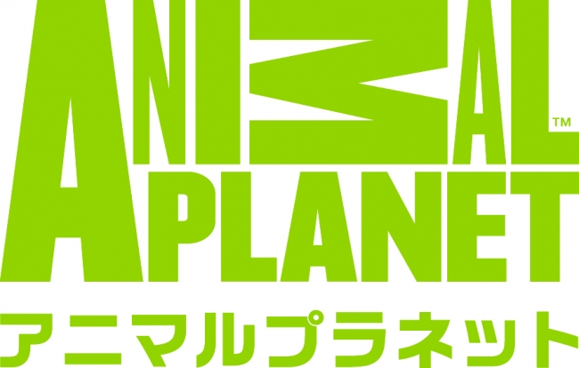 世界最大級の動物チャンネル アニマル プラネット 飛び跳ねるゾウ をモチーフにした新ロゴにリニューアル ディスカバリー ジャパン合同会社のプレスリリース