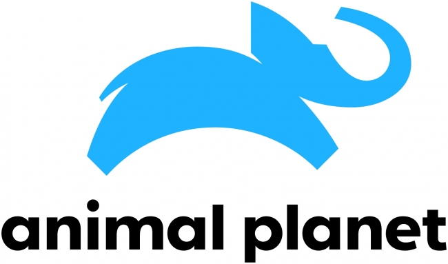 世界最大級の動物チャンネル アニマルプラネット 飛び跳ねるゾウ をモチーフにした新ロゴ にリニューアル ディスカバリー ジャパン合同会社のプレスリリース