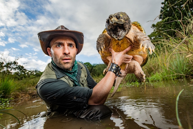 野生動物の新たな魅力を伝える 注目の新番組が日本初上陸 ディスカバリー ジャパン合同会社のプレスリリース