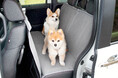 Honda Dog「アウトドアドッグフェスタin八ヶ岳 2025」出展概要