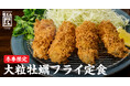 【揚げることを追求した会社が作る“極上牡蠣フライ”】串カツ田中の新業態「厚切りとんかつ 厚とん」で贅沢ジューシーな広島県産「大粒牡蠣フライ定食」を販売開始