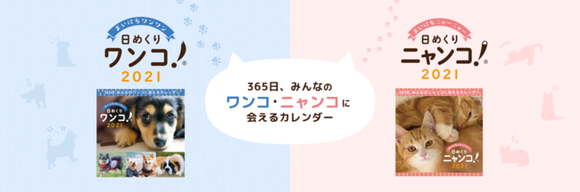 みんなでつくる 日めくりカレンダー 日めくりワンコ 21 日めくりニャンコ 21 を10月1日に販売開始 共立ホールディングス株式会社のプレスリリース