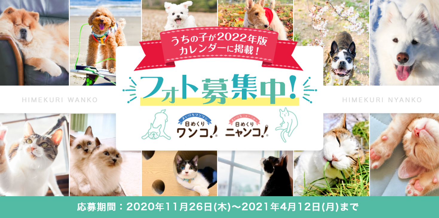 みんなでつくる 日めくりカレンダー 日めくりワンコ 22 日めくりニャンコ 22 フォトコンテスト開催 共立ホールディングス株式会社のプレスリリース