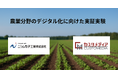 農業分野のデジタル化に向けた実証実験