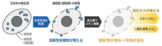 汚泥可溶化の原理（イメージ）