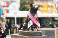 「乳がん」の早期発見を啓発するピンクリボン月間に忠犬ハチ公像・モンチッチ銅像がピンク仕様に