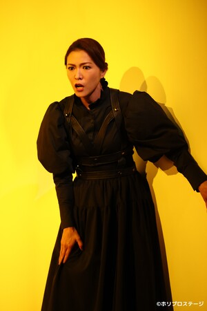 母親役:安蘭けい 母親役:安蘭けい