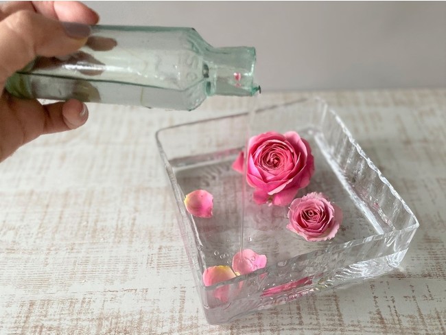 第一園芸 おうち時間や出会いの季節のギフトにおすすめのバラのフェアを展開 リラックスできるバラ の香りで 春からの新生活のリズムを整える 第一園芸株式会社のプレスリリース 第一園芸 おうち時間や出会いの季節のギフトにおすすめのバラのフェアを展開 リラックスできるバラ の香りで 春からの新生活のリズムを整える 第一園芸株式会社のプレスリリース