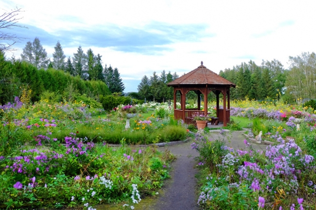 旅 花 花屋が旅をプロデュース 北海道のガーデン街道8つの庭園を巡るツアーなど 第一園芸株式会社のプレスリリース