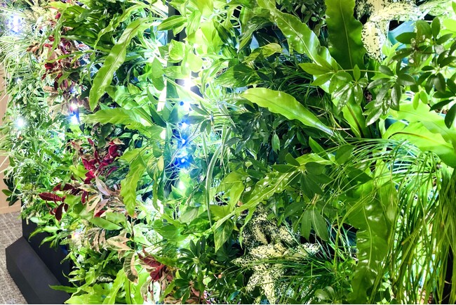 植物育成ライト、水の循環システムと自動潅水装置により室内でも植物が生育します