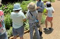 練馬区立 四季の香ローズガーデン／全国の公園管理者では初となる※地域の環境保全活動の環を広げるこどもエコクラブの活動を開始