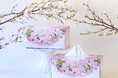 第一園芸が監修『スコッティ カシミヤ サクラ』のティシューに、桜を中心とした花々のリースで彩られた特別パッケージが登場～ひと足早い春の訪れを暮らしに～