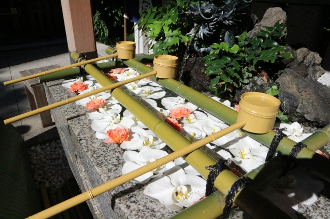 花のオウンドメディア 第一園芸の花毎 はなごと が立春に日本橋 福徳神社で花手水 はなちょうず を奉納 吉祥寺経済新聞