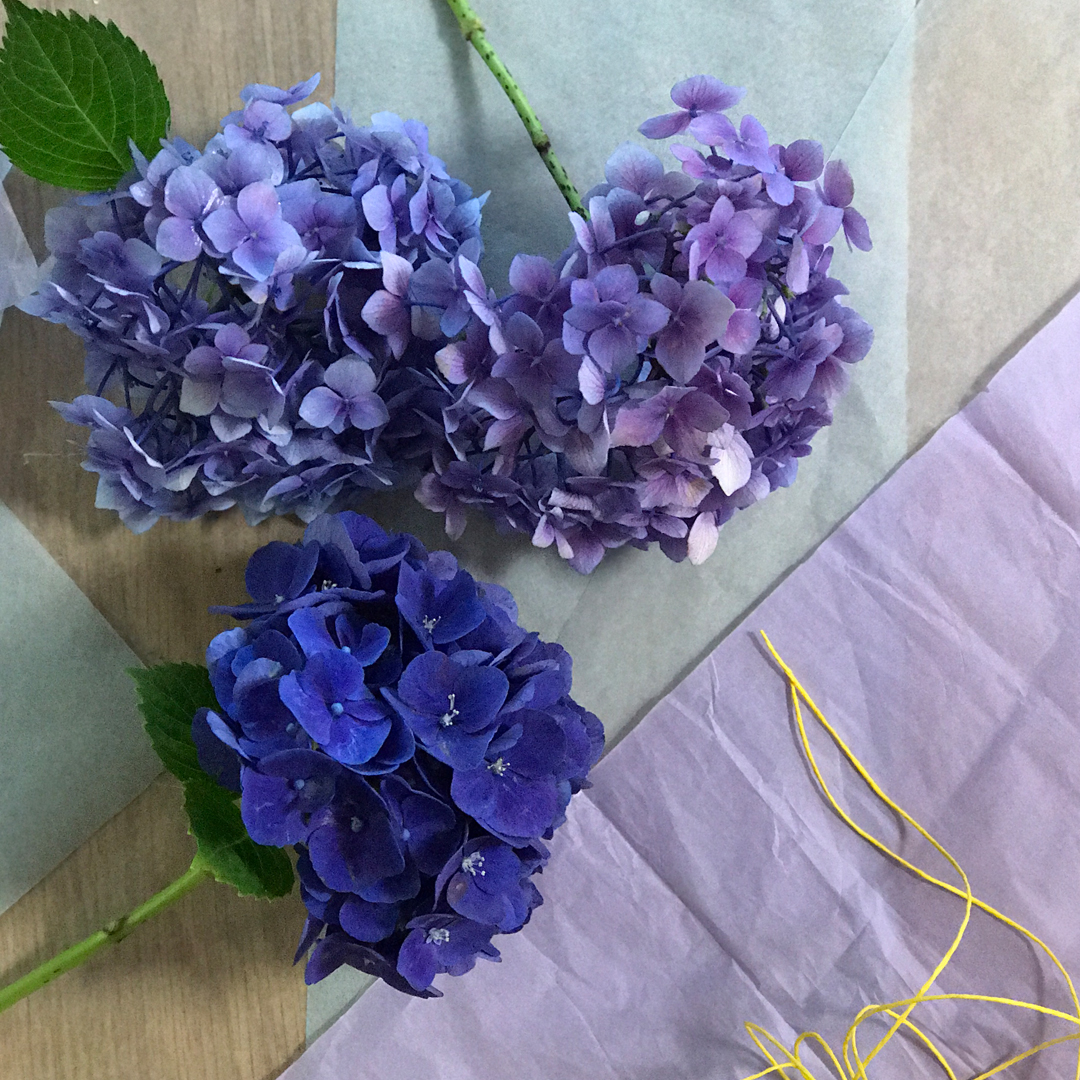 花のオウンドメディア 第一園芸の花毎 はなごと が夏越の祓 なごしのはらえ の花手水を奉納 第一園芸株式会社のプレスリリース