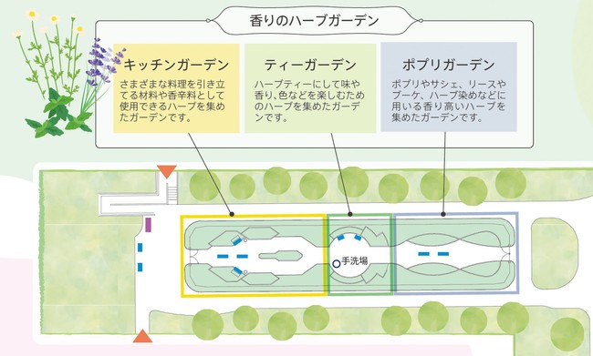 約150種 990株のハーブが見頃の 香りのハーブガーデン のご紹介と テレワークにもおすすめのハーブの楽しみ方や人気のハーブ のブーケ 第一園芸株式会社のプレスリリース