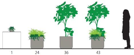 植栽ボリューム係数の例