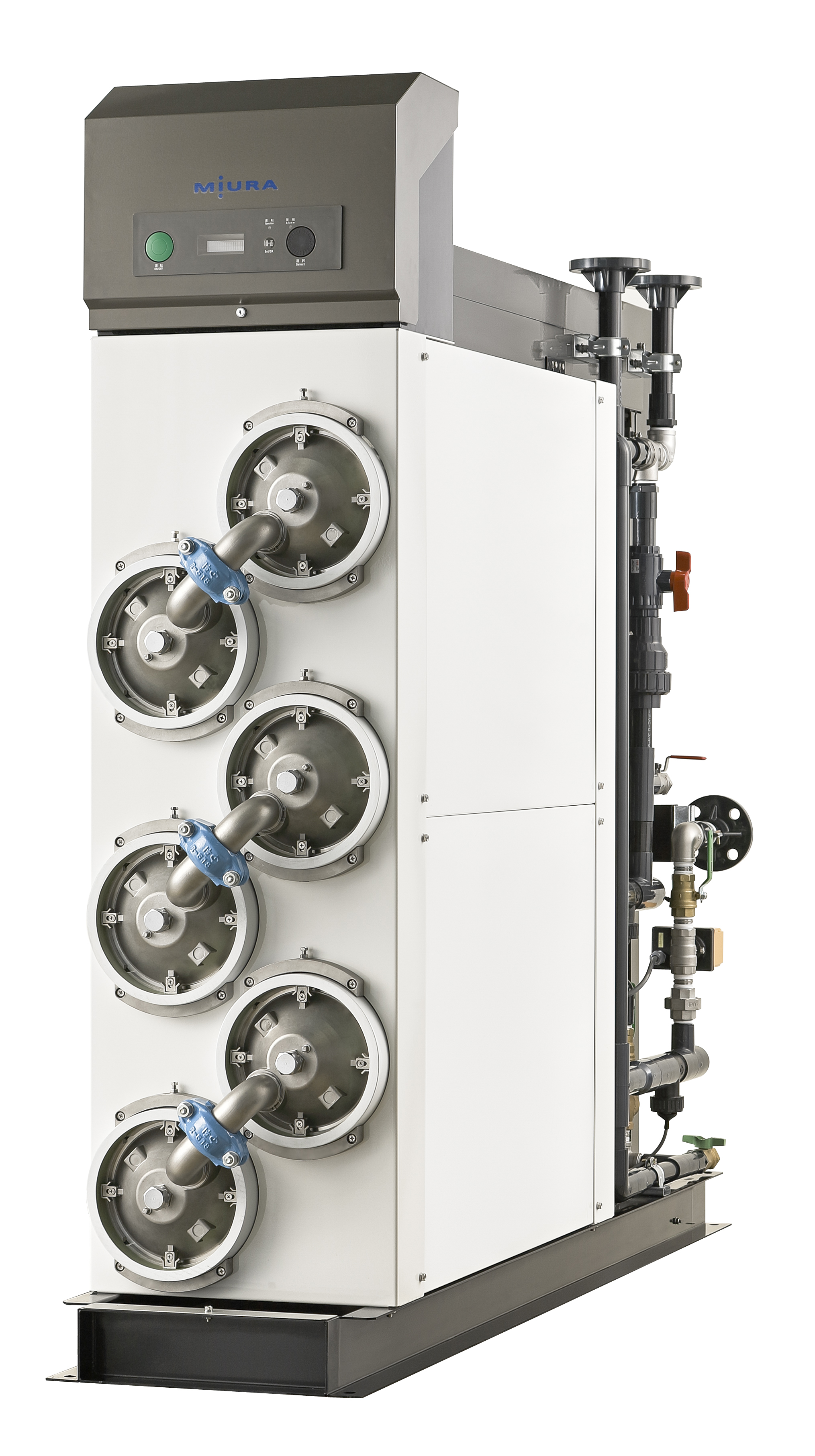 フェニックスロベレニー 2本立 2頭 ダブルヘッド 2股 ⑥