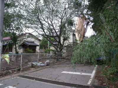 2012 年5 月の吉沼地区における竜巻災害（つくば市HP）