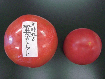 1000年の都 京都の土地と人が創り出す 京野菜 京とまと を化粧品原料として開発 肌色メラニンを産生 美白効果 をもたらす赤い宝石 株式会社サティス製薬のプレスリリース