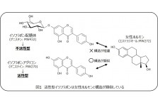 世界初の技術 植物からヒト肌成分 与える 作らせるのダブルセラミドケア 株式会社サティス製薬のプレスリリース