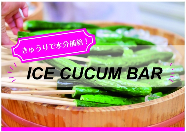 連日続く猛暑を乗りきるには 水分補給は冷やしきゅうりで 風呂上がりの水分補給に最適 有料でもまた食べたい などの反響をいただいた Ice Cucum Bar プロジェクト第二弾 企業リリース 日刊工業新聞 電子版