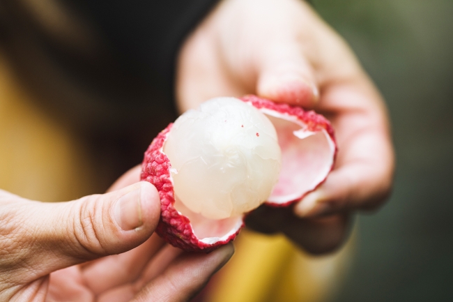 国産ライチは白く透き通った肉厚の果肉と、あふれる果汁が特徴（写真：Waki Hamatsu）
