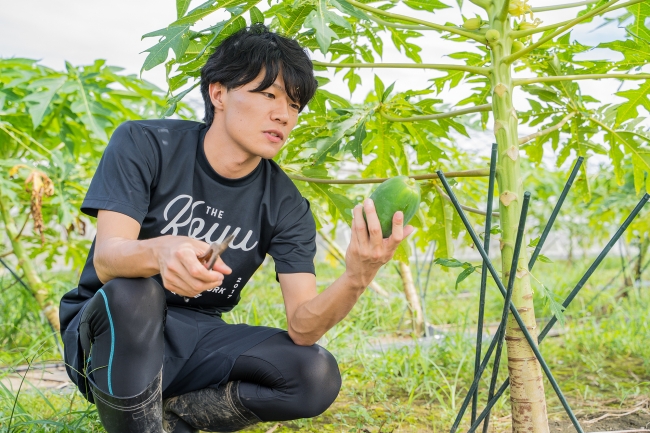 宮崎LVS1期生で2019年4月に埼玉県から宮崎県新富町に移住した岩本脩成さん。青パパイヤを栽培しながら商品開発や販路開拓、スマート農業に関するビジネスを仕掛けています。