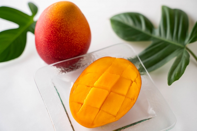 宮崎を代表する高級フルーツ・完熟マンゴー。7月下旬まで収穫、発送が予定されている。