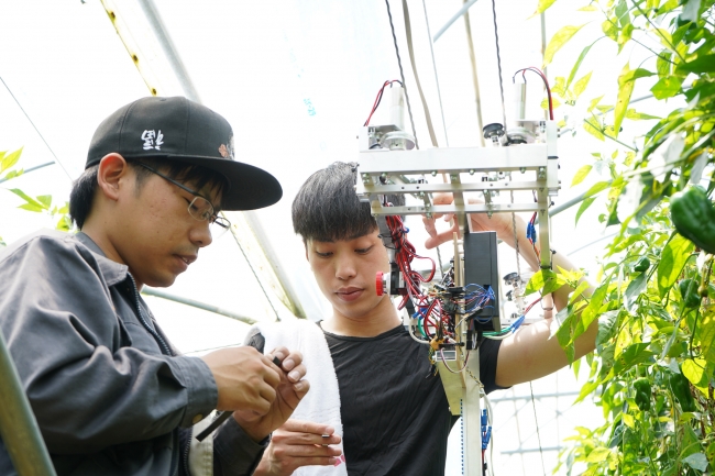 宮崎県新富町でピーマンの自動収穫ロボットを開発中の様子。実際にピーマン農家さんのハウスを使用している