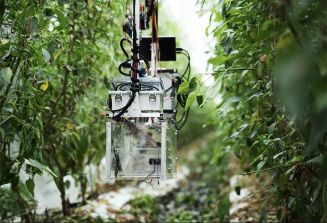 宮崎県新富町に2019年に設立されたAGRIST株式会社は自動収穫ロボットを開発中