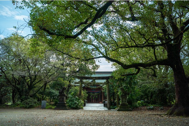 湖水ヶ池周辺で森林浴（photo by Yuta Nakayama)