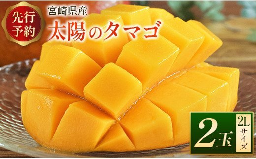 2002年春 宮崎県産 完熟マンゴー 10kg - 通販 - icsettimomilanese.edu.it