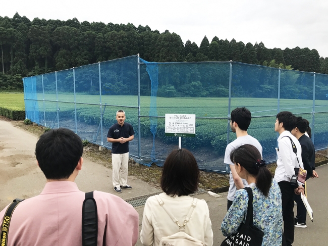 新田原古墳群の近隣エリアには茶畑などが点在し、企業研修などのフィールドとしてすでに活用されています。