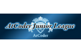 中高生向け 学校対抗競技プログラミング「AtCoder Junior League 2024 Summer」入賞校・入賞者を発表