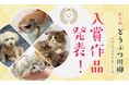 第九回「どうぶつ川柳」入賞作品発表！