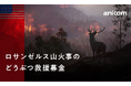 『ロサンゼルス山火事のどうぶつ救援募金』を実施します
