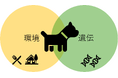 小型犬の性格と遺伝の関係の一端が明らかに