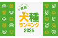 最新版!『人気犬種ランキング2025』