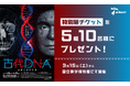 特別展『古代DNA―日本人のきた道―』のイエネコの歴史をアニコム社員が監修