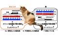 三毛猫の毛色を決める遺伝子をついに発見