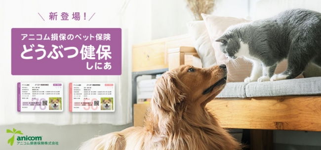 日本初 シニア専用 のペット保険 新商品 どうぶつ健保しにあ を販売開始 アニコム ホールディングス株式会社のプレスリリース