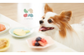 愛犬用おやつが毎月届く新サービス「anicoMarche」登場!