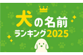 第21回 犬の名前ランキング2025発表！