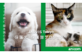 『JARVIS Tokyo保護犬・保護猫プロジェクト』を開始