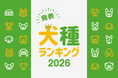最新版！『犬種ランキング2026』