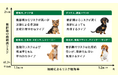 ペット保険データを用いた歯周病リスクに関する大規模研究成果が国際学術誌に掲載